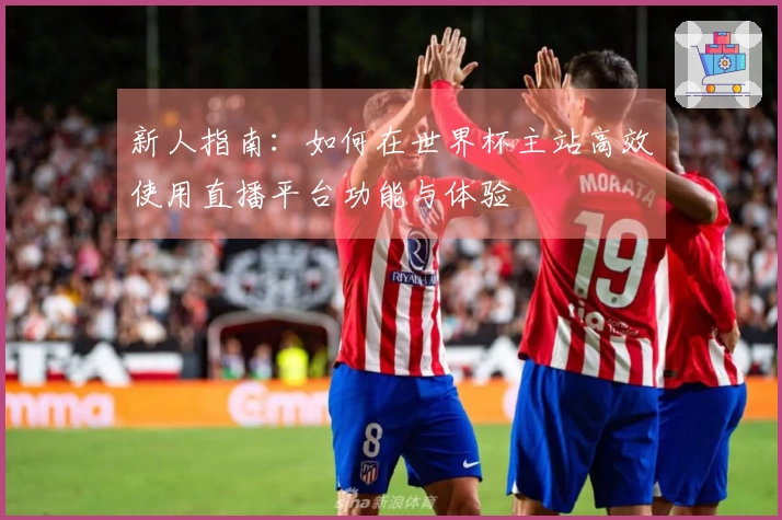新人指南：如何在世界杯主站高效使用直播平台功能与体验