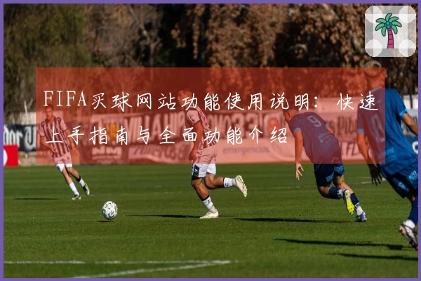 FIFA买球网站功能使用说明：快速上手指南与全面功能介绍