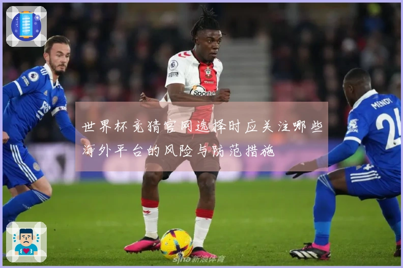世界杯竞猜官网选择时应关注哪些海外平台的风险与防范措施