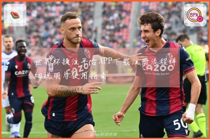 世界杯投注平台APP下载注册流程详细说明与使用指南