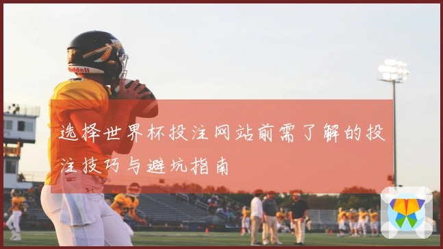 选择世界杯投注网站前需了解的投注技巧与避坑指南