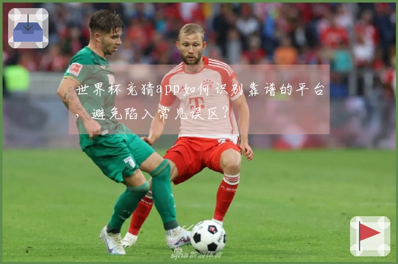 世界杯竞猜app如何识别靠谱的平台，避免陷入常见误区？