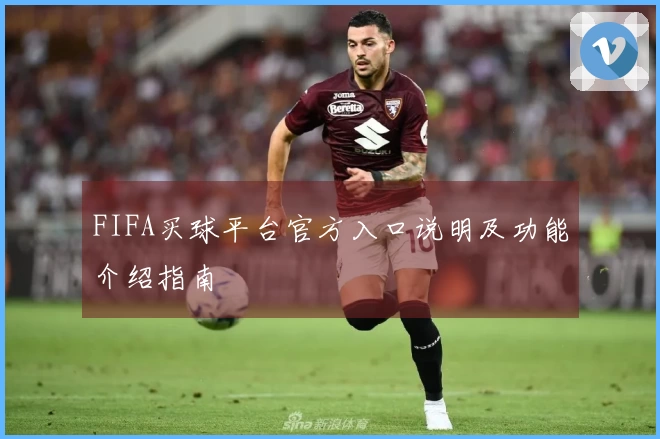 FIFA买球平台官方入口说明及功能介绍指南